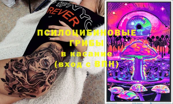 мяу мяу мука Каменногорск