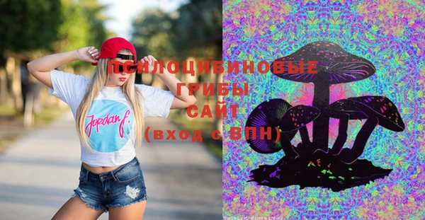 мяу мяу мука Каменногорск