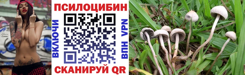 Купить где  Сызрань  Псилоцибиновые грибы Psilocybe 